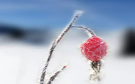 立冬降至如何驅(qū)寒？